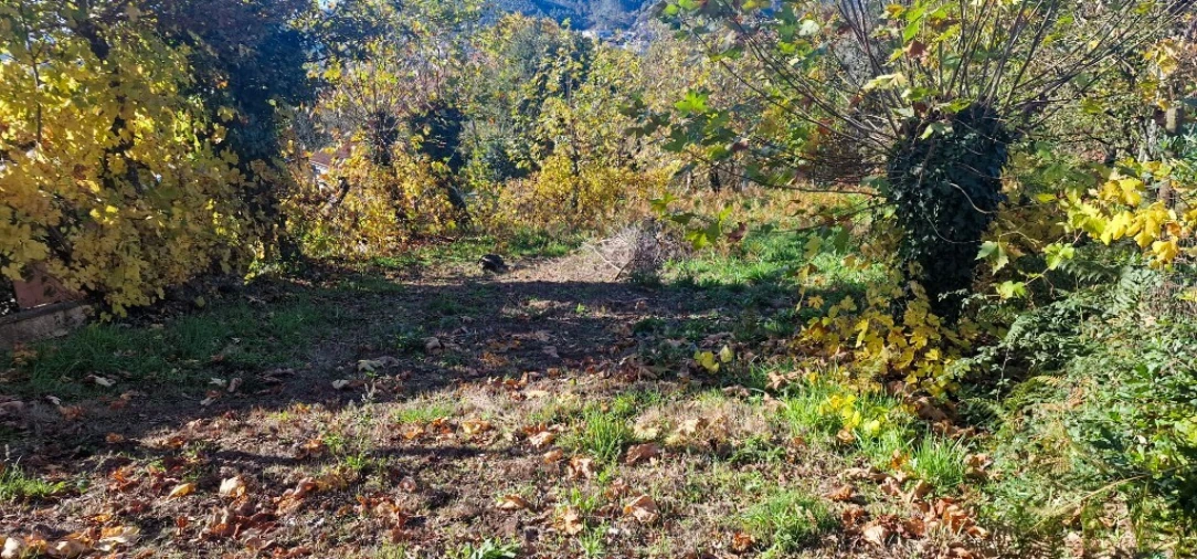 Terreno para Venda em Cantelães Foto 5