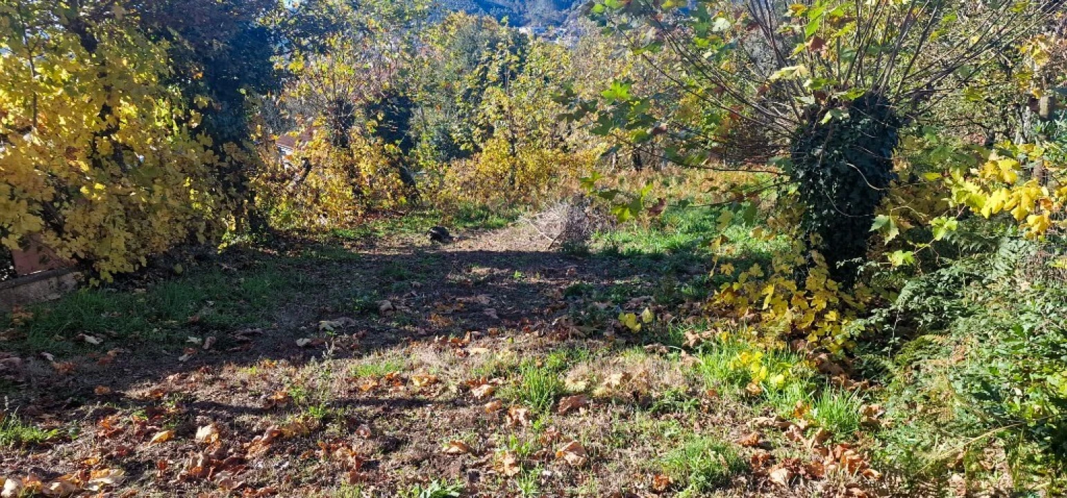 Terreno para Venda em Cantelães Foto 5
