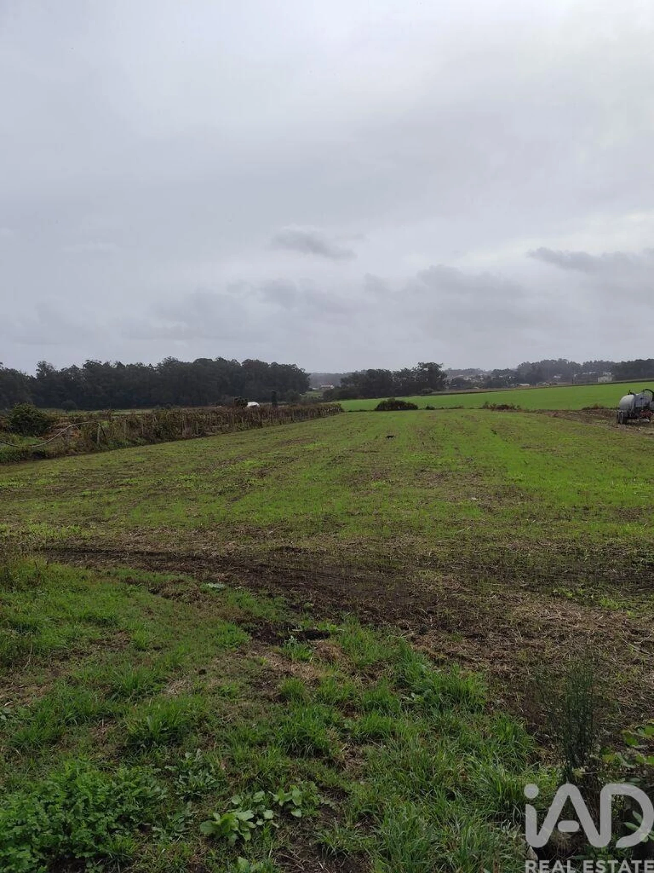 Terreno para Venda em Cristelo Foto 1