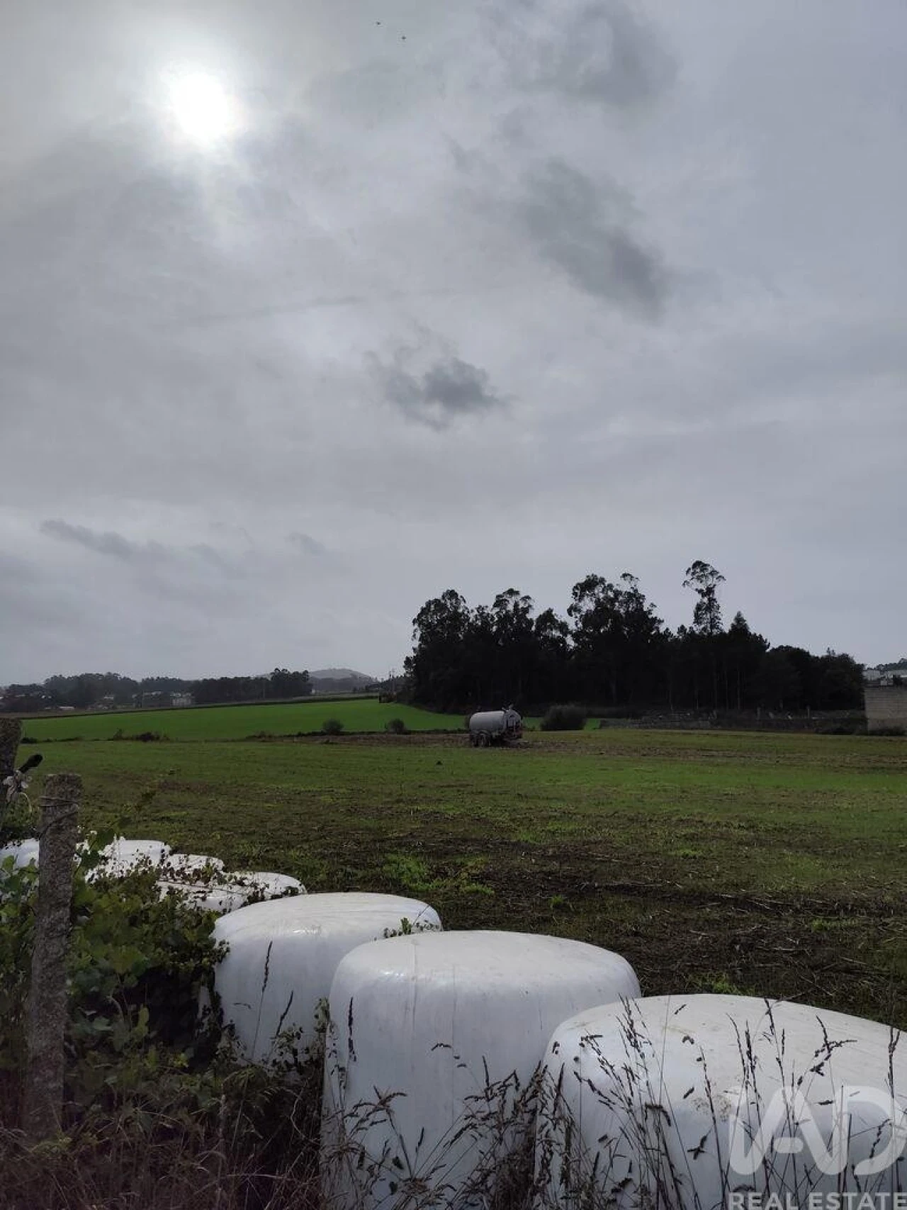 Terreno para Venda em Cristelo Foto 6