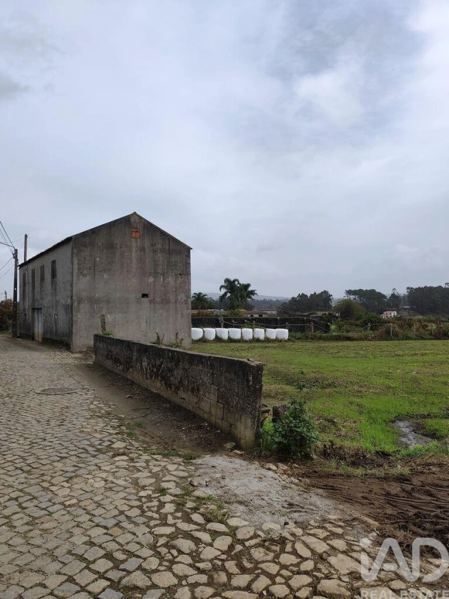 Terreno para Venda em Cristelo Foto 10