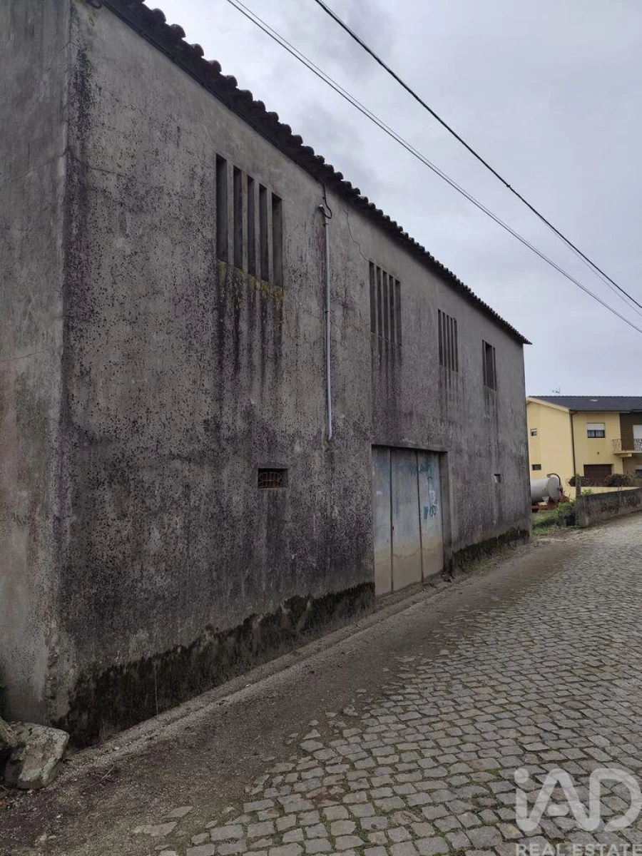 Terreno para Venda em Cristelo Foto 4