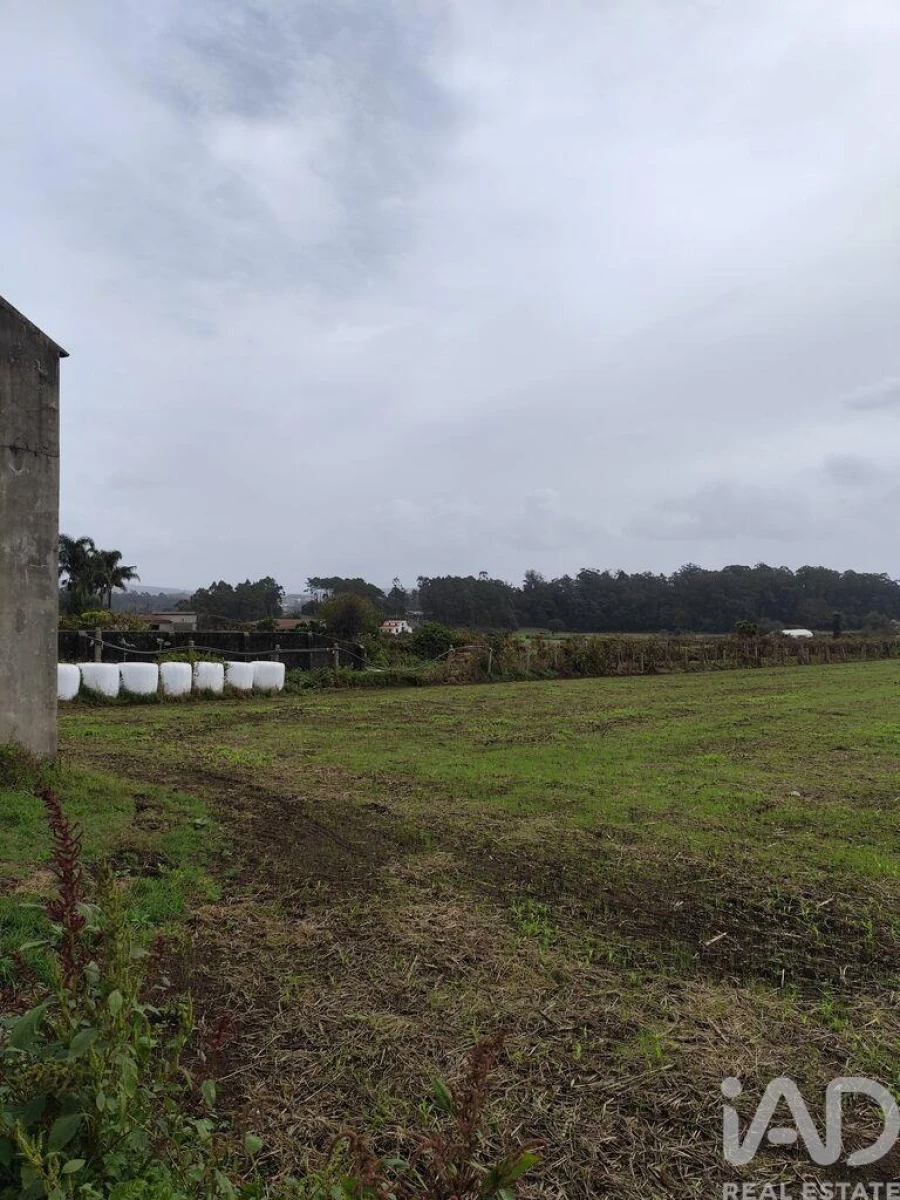 Terreno para Venda em Cristelo Foto 8