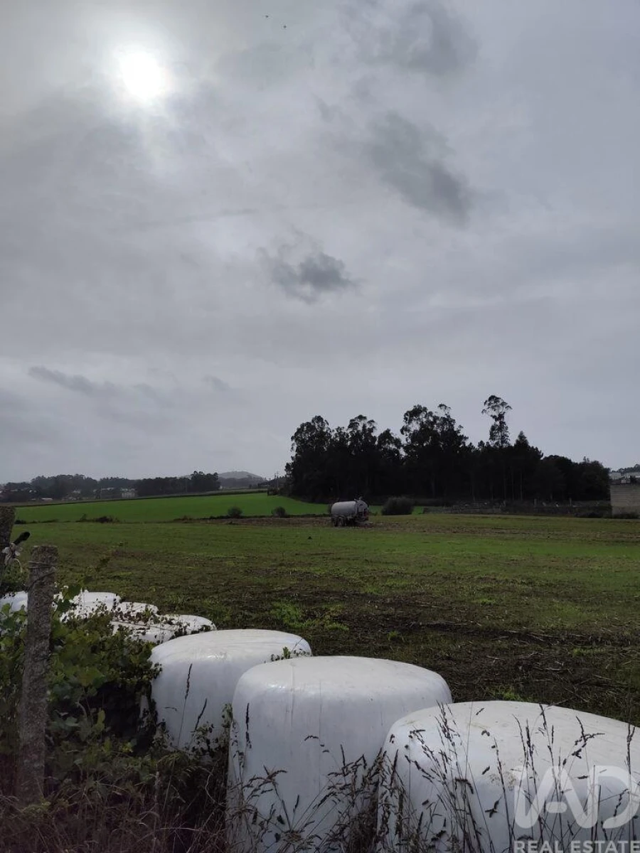 Terreno para Venda em Cristelo Foto 6