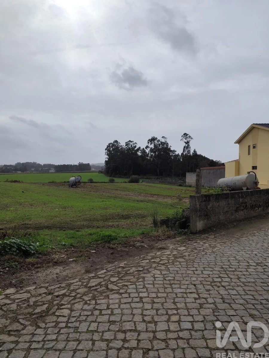 Terreno para Venda em Cristelo Foto 7