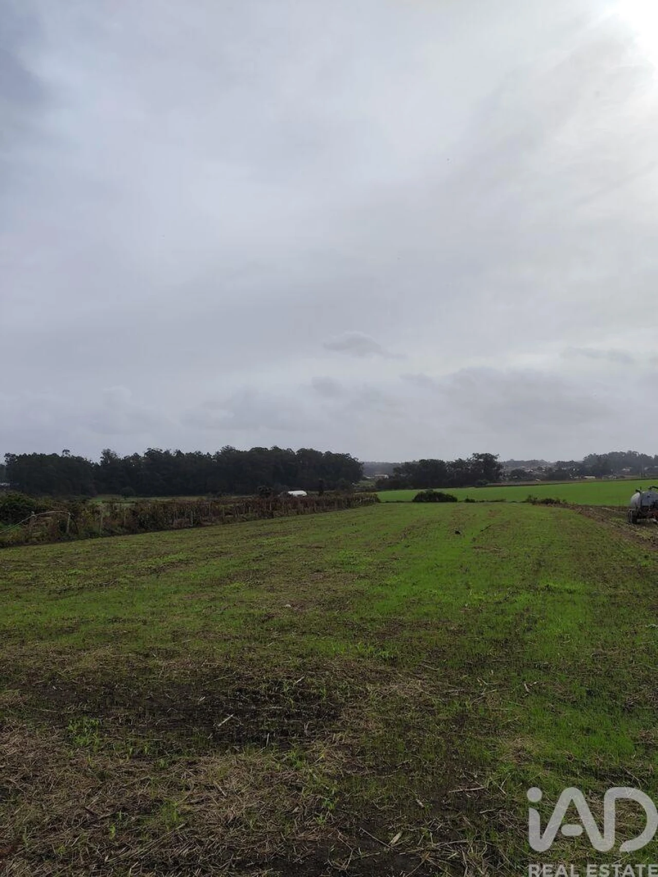 Terreno para Venda em Cristelo Foto 9