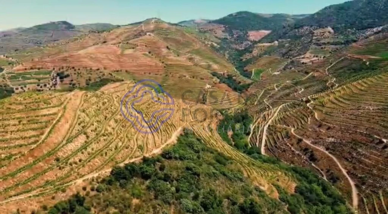 Quinta T2 para Venda em Ervedosa do Douro Foto 14