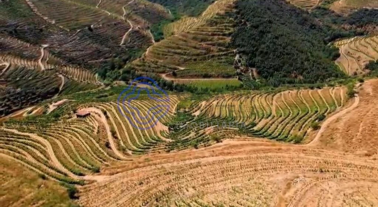 Quinta T2 para Venda em Ervedosa do Douro Foto 20