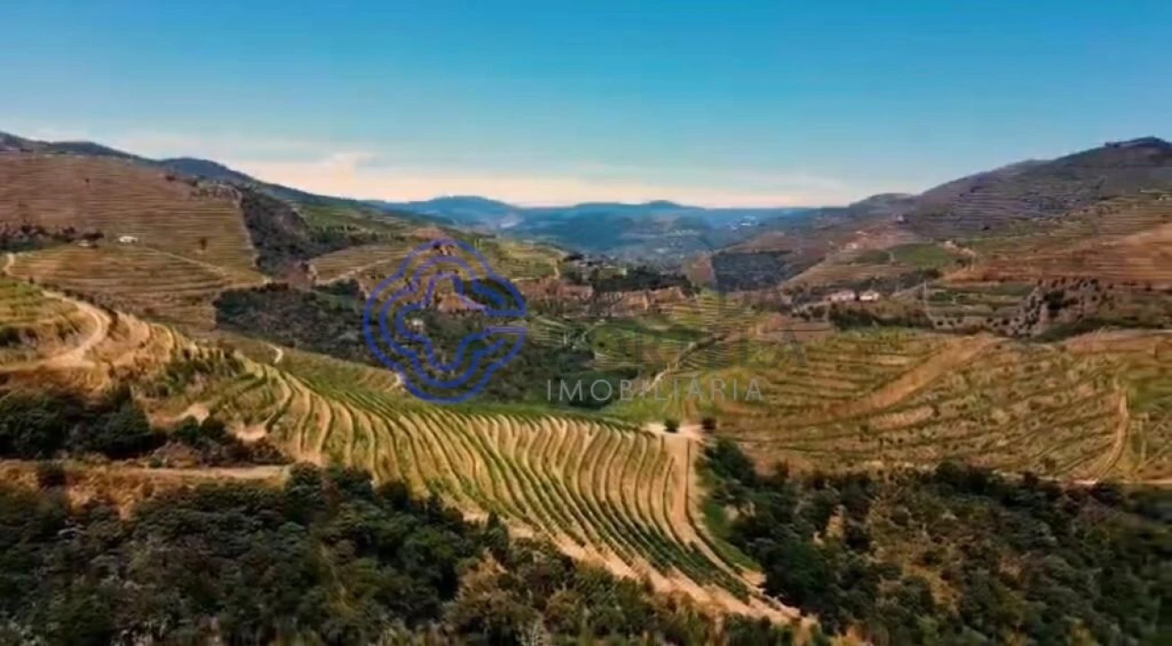 Quinta T2 para Venda em Ervedosa do Douro Foto 16