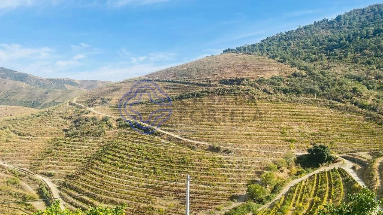 Quinta para Venda em Ervedosa do Douro Foto 2