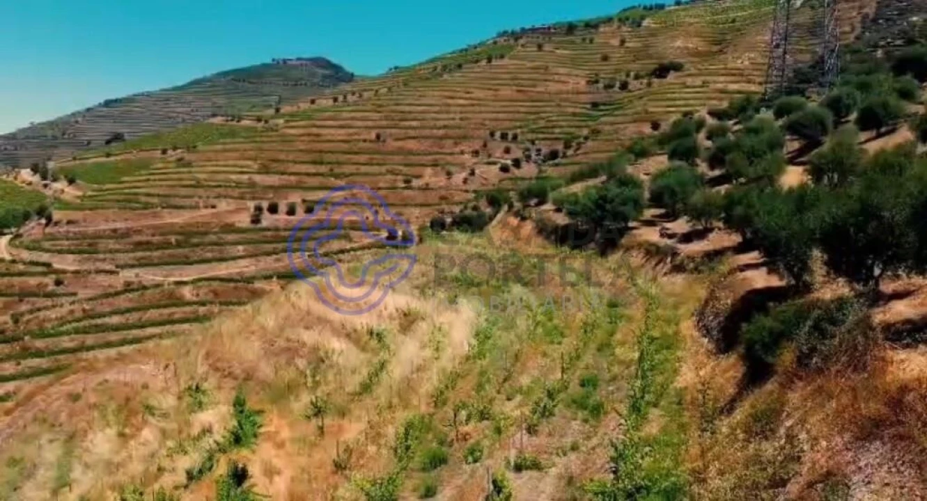 Quinta T2 para Venda em Ervedosa do Douro Foto 22