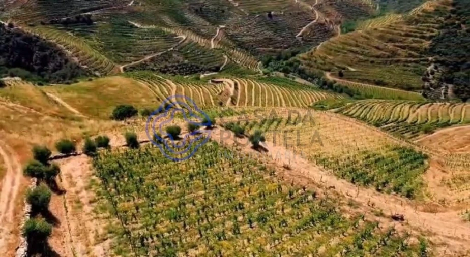 Quinta T2 para Venda em Ervedosa do Douro Foto 19