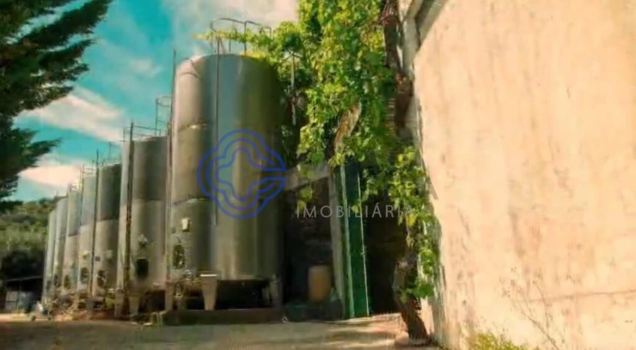 Quinta T2 para Venda em Ervedosa do Douro Foto 23