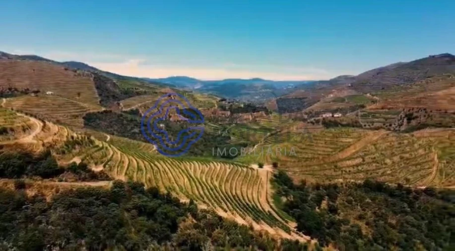 Quinta T2 para Venda em Ervedosa do Douro Foto 16