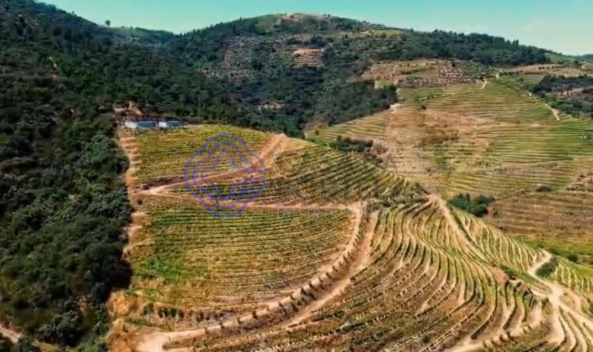 Quinta T2 para Venda em Ervedosa do Douro Foto 15