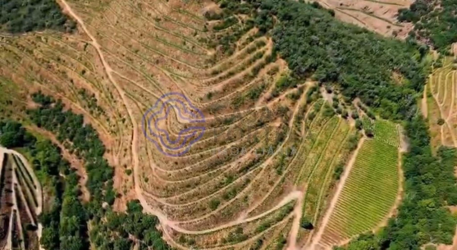 Quinta T2 para Venda em Ervedosa do Douro Foto 18