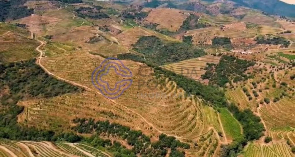 Quinta T2 para Venda em Ervedosa do Douro Foto 21