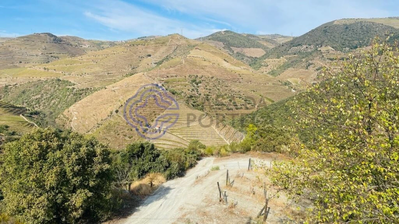 Quinta para Venda em Ervedosa do Douro Foto 4