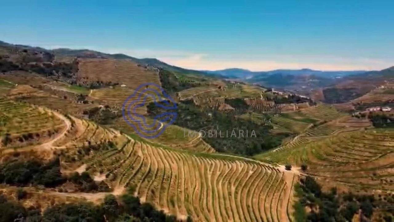 Quinta T2 para Venda em Ervedosa do Douro Foto 13