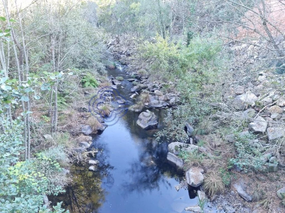 Quinta para Venda em Ervedosa do Douro Foto 12