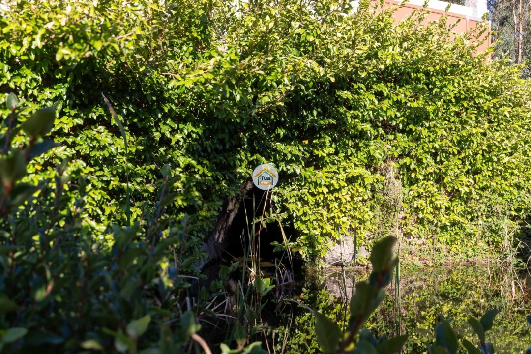 Moradia T5 para Venda em Moure Foto 31