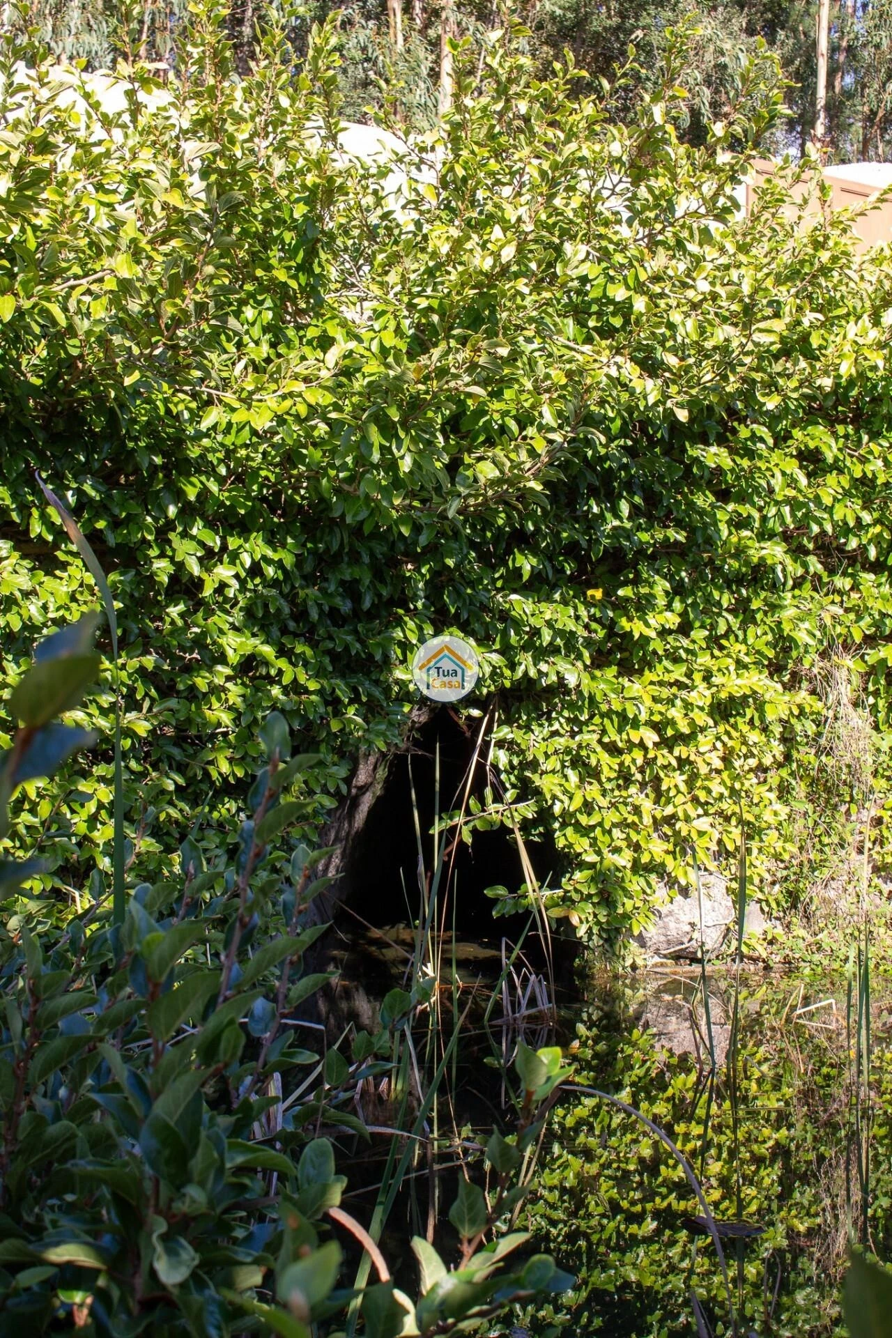 Moradia T5 para Venda em Moure Foto 32