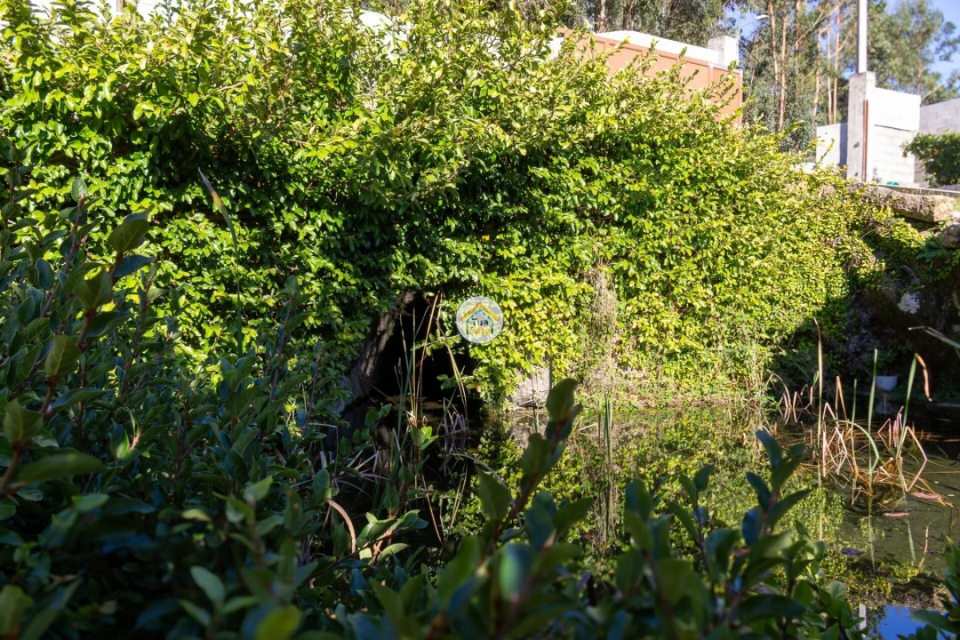 Moradia T5 para Venda em Moure Foto 33