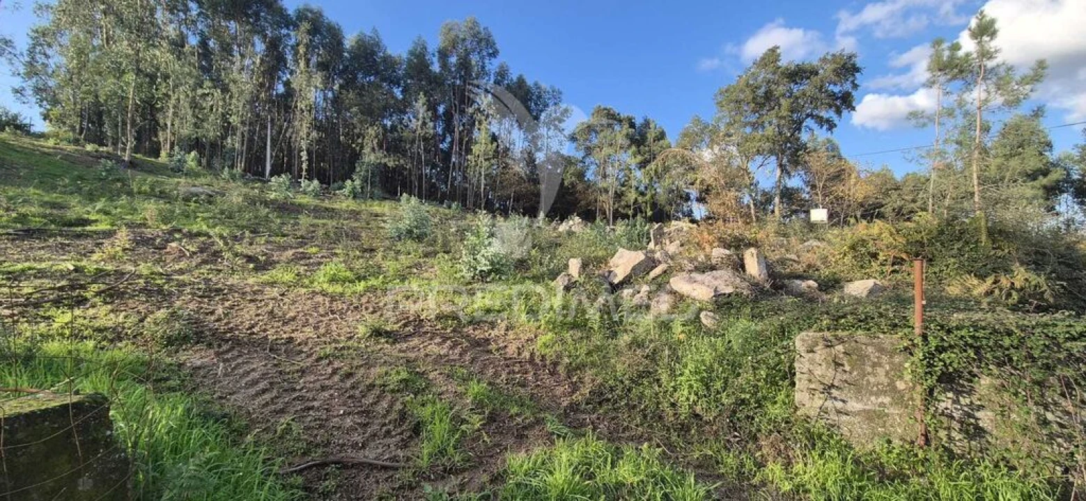 Terreno para Venda em Turiz Foto 20