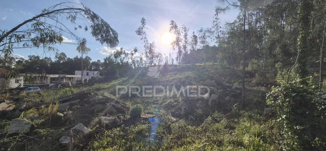 Terreno para Venda em Turiz Foto 15