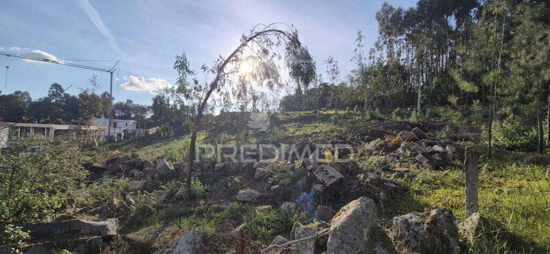 Terreno para Venda em Turiz Foto 8