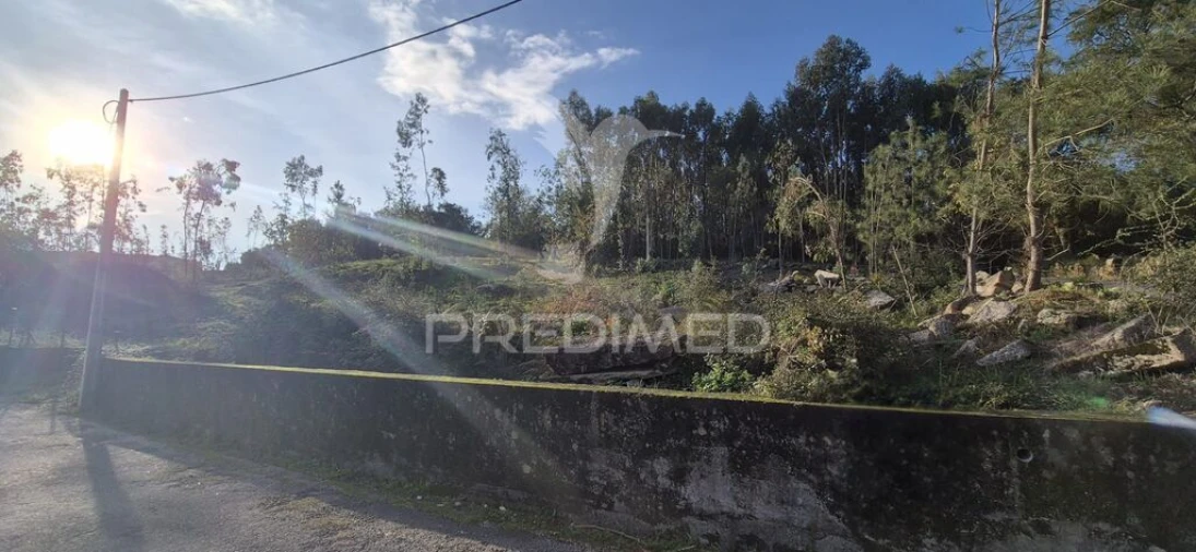 Terreno para Venda em Turiz Foto 11
