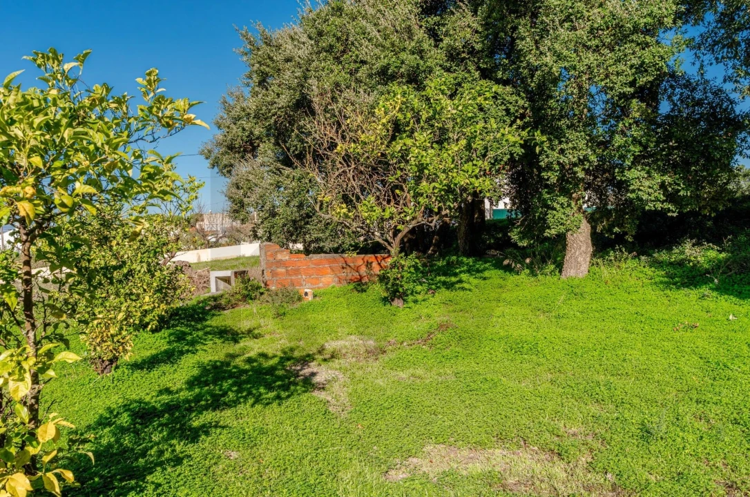 Terreno para Venda em Santo Antonio da Charneca Foto 5