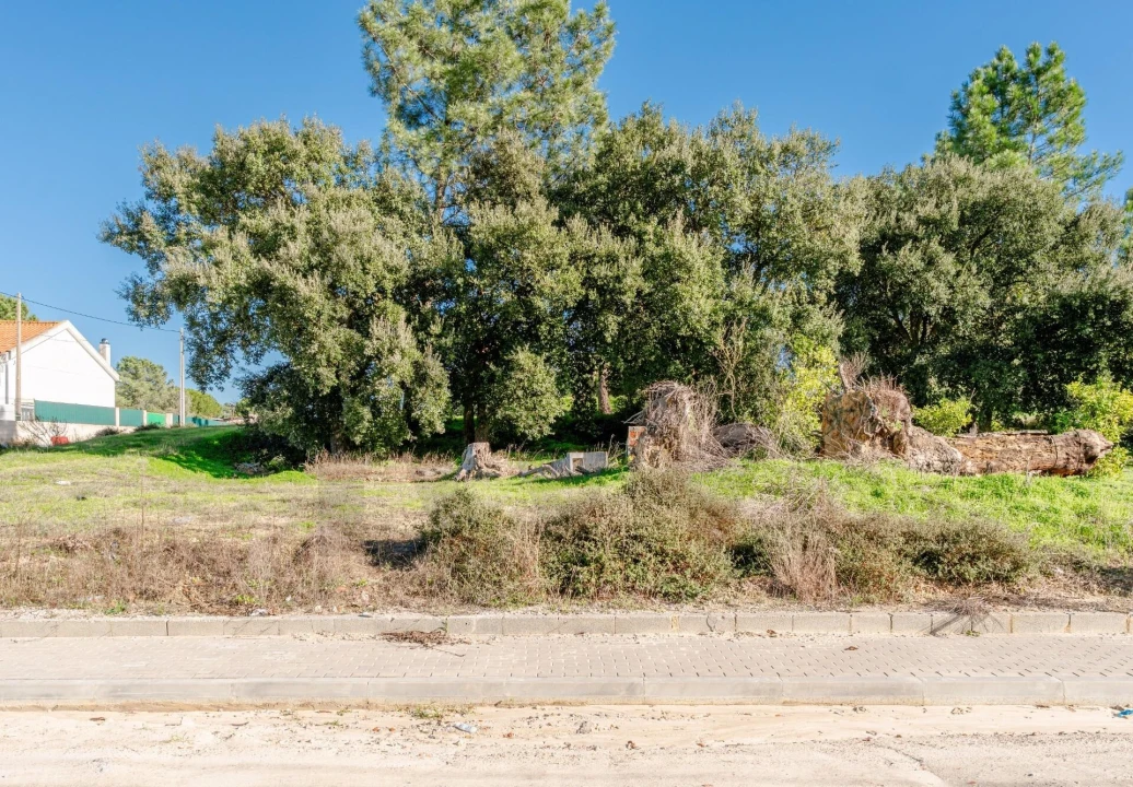 Terreno para Venda em Santo Antonio da Charneca Foto 8