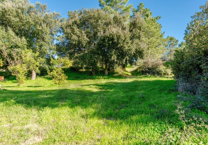 Terreno para Venda em Santo Antonio da Charneca Foto 7