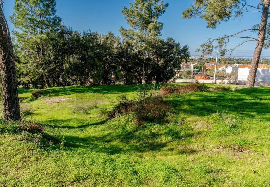 Terreno para Venda em Santo Antonio da Charneca Foto 4