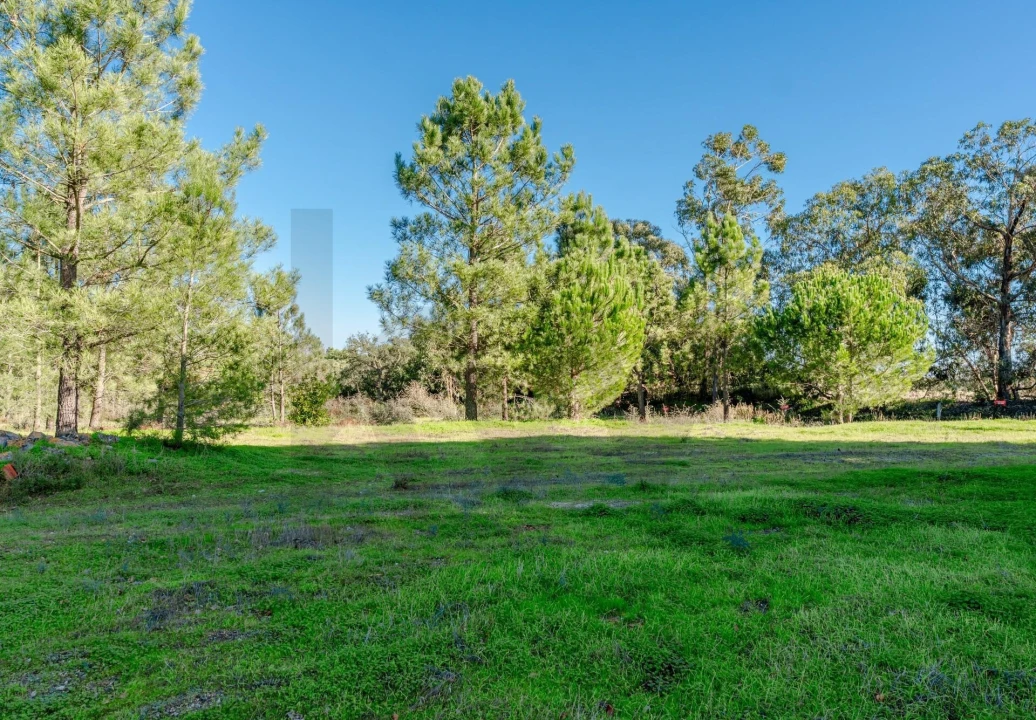 Terreno para Venda em Santo Antonio da Charneca Foto 8