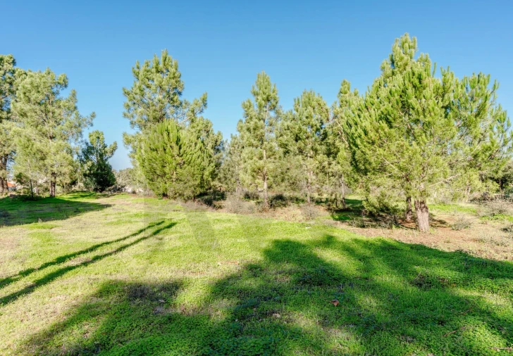 Terreno para Venda em Santo Antonio da Charneca Foto 7
