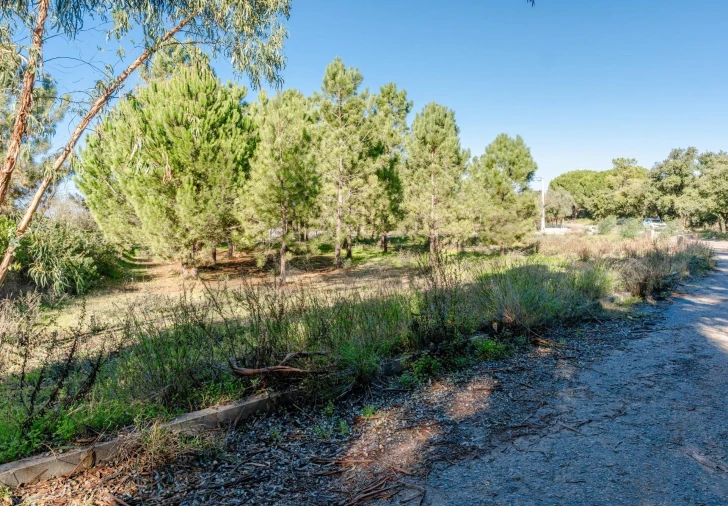 Terreno para Venda em Santo Antonio da Charneca Foto 4