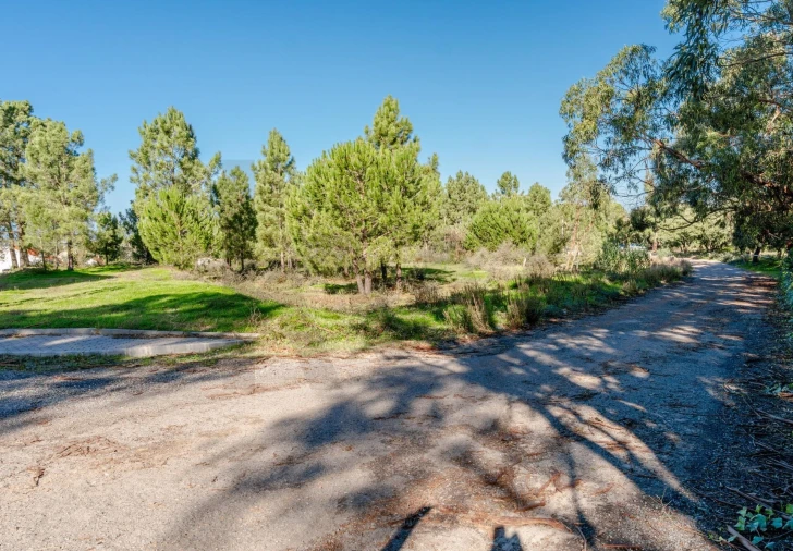 Terreno para Venda em Santo Antonio da Charneca Foto 6