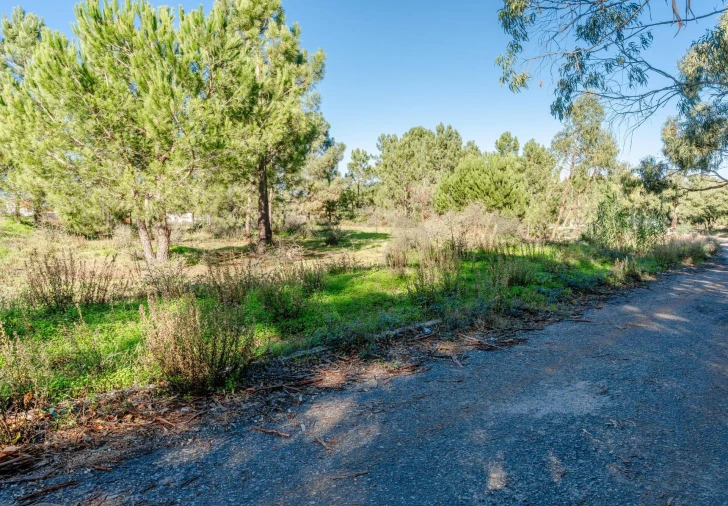 Terreno para Venda em Santo Antonio da Charneca Foto 5