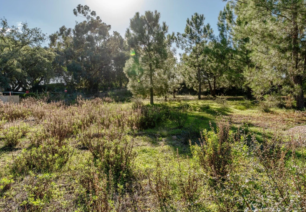 Terreno para Venda em Santo Antonio da Charneca Foto 9