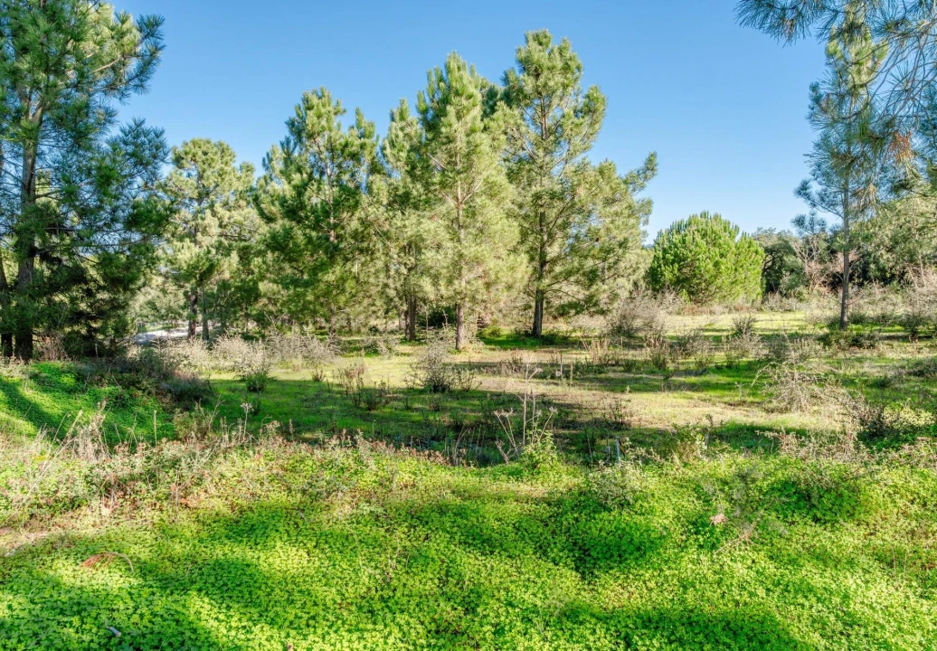 Terreno para Venda em Santo Antonio da Charneca Foto 7