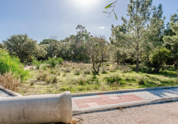 Terreno para Venda em Santo Antonio da Charneca Foto 4
