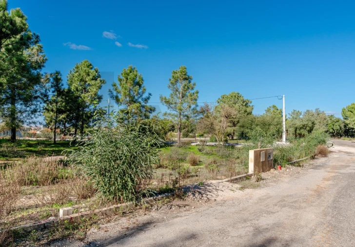 Terreno para Venda em Santo Antonio da Charneca