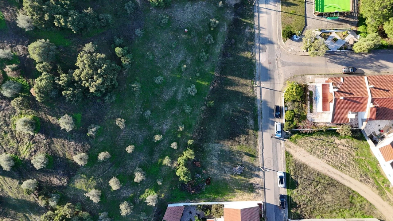 Terreno para Venda em Carregueira Foto 6
