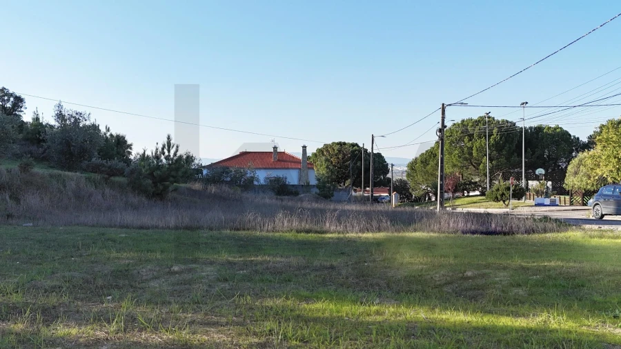 Terreno para Venda em Carregueira Foto 12