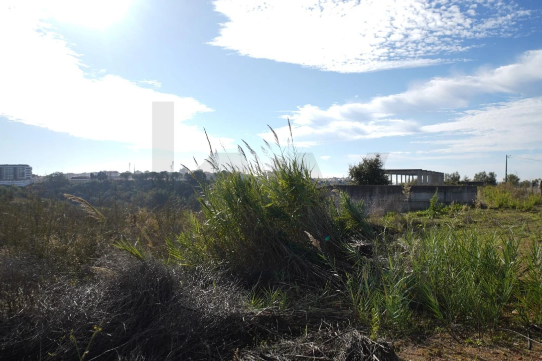 Terreno para Venda em Romeira e Várzea Foto 22