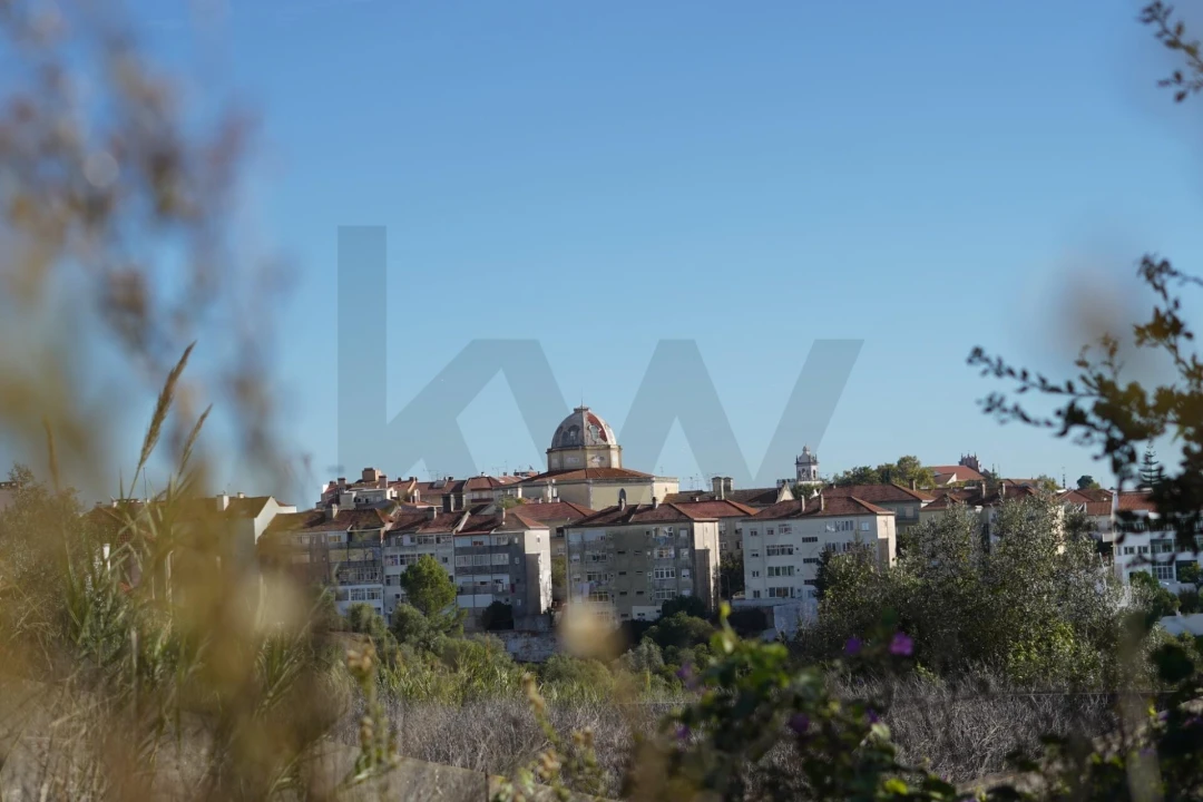 Terreno para Venda em Romeira e Várzea Foto 5