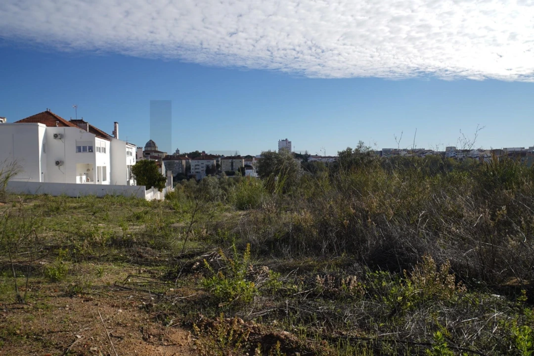 Terreno para Venda em Romeira e Várzea Foto 20