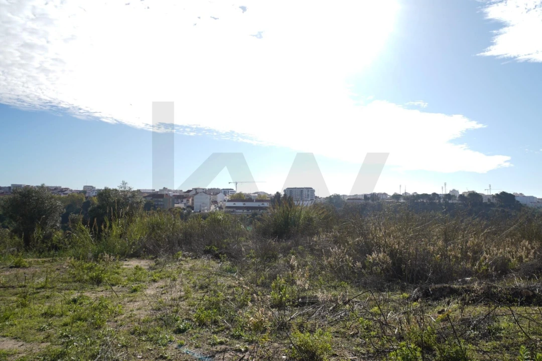 Terreno para Venda em Romeira e Várzea Foto 21